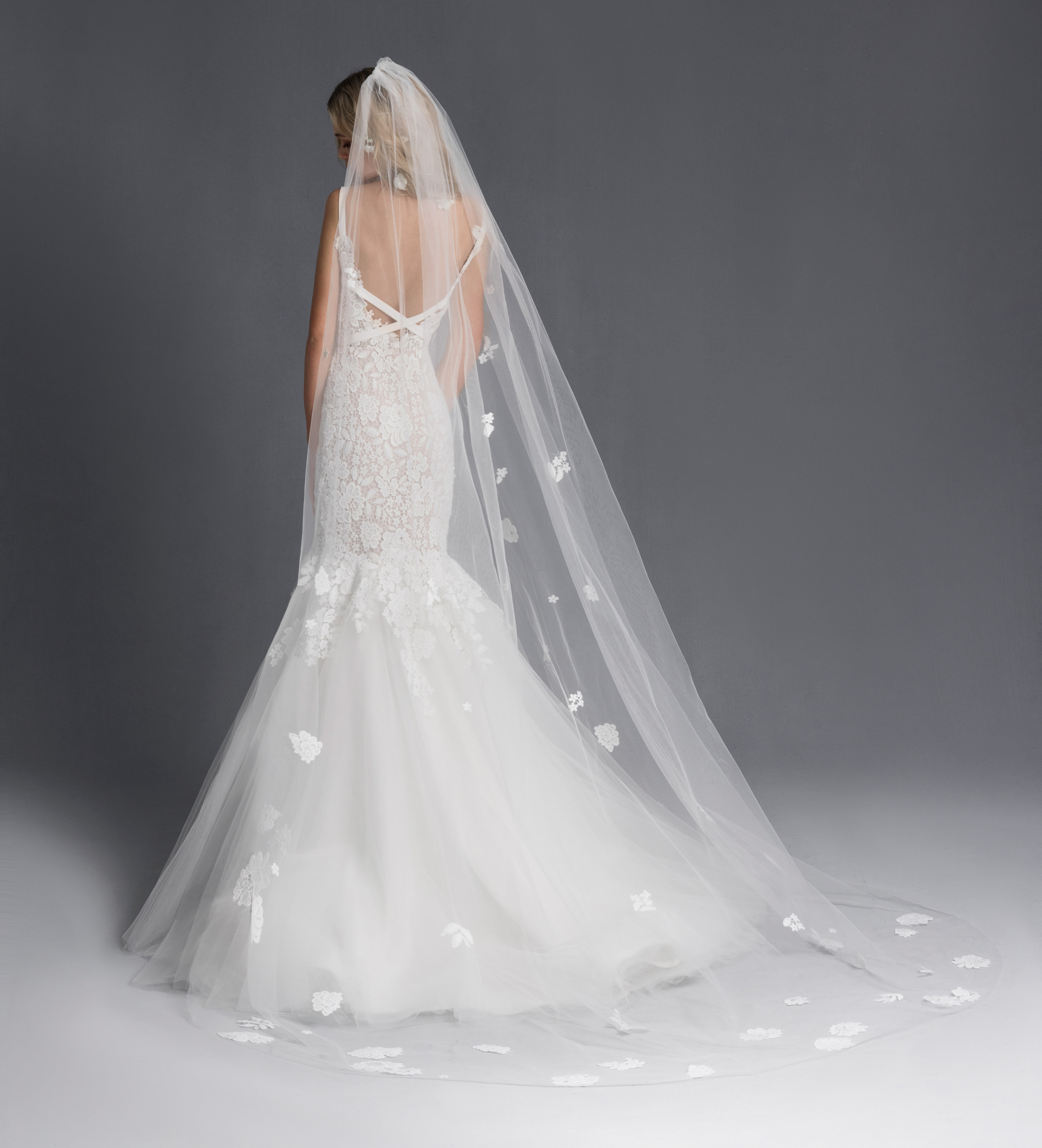 hayley paige west veil