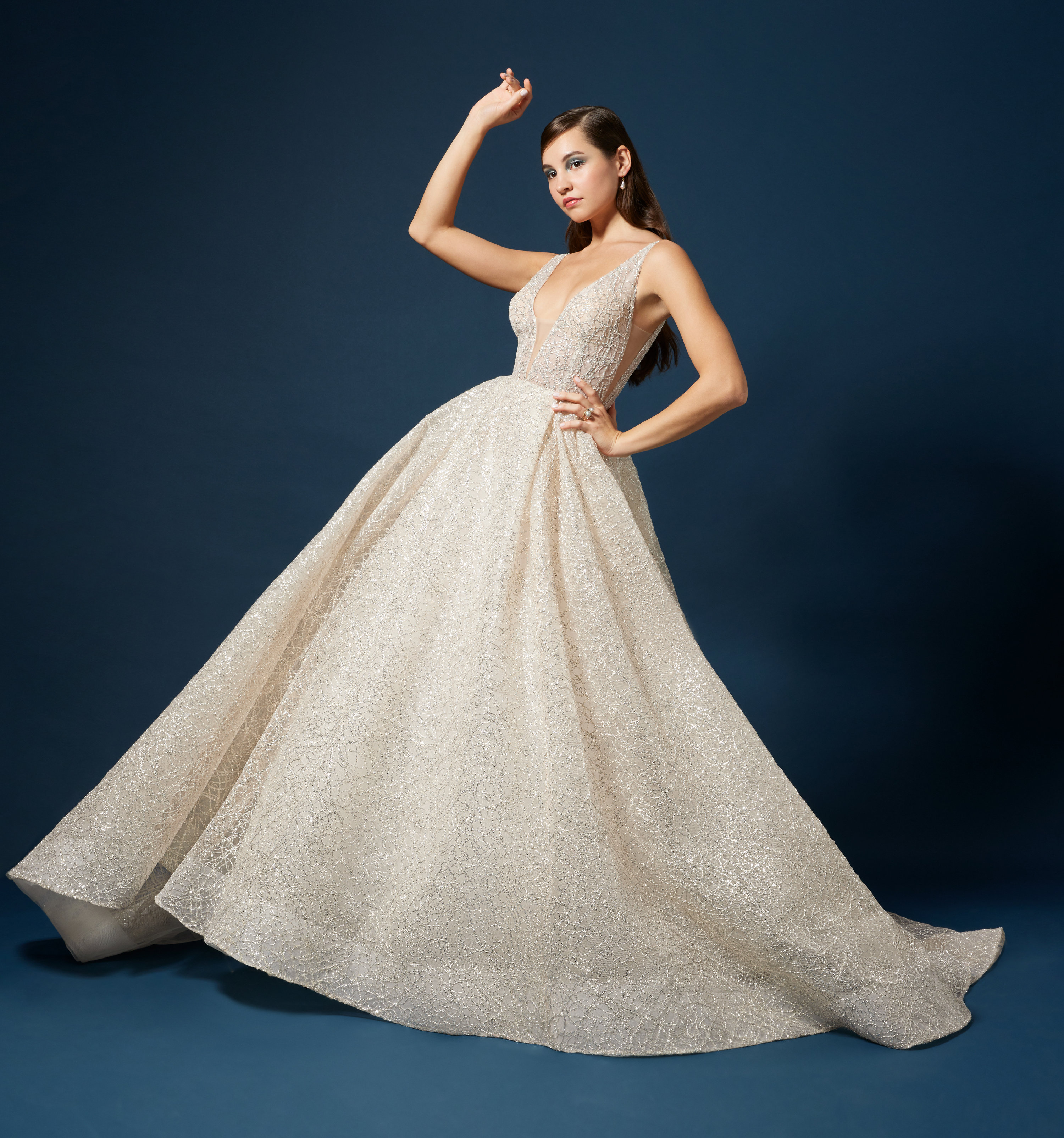 Lazaro shop cinderella dress