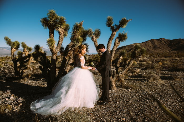 Desert Wedding 