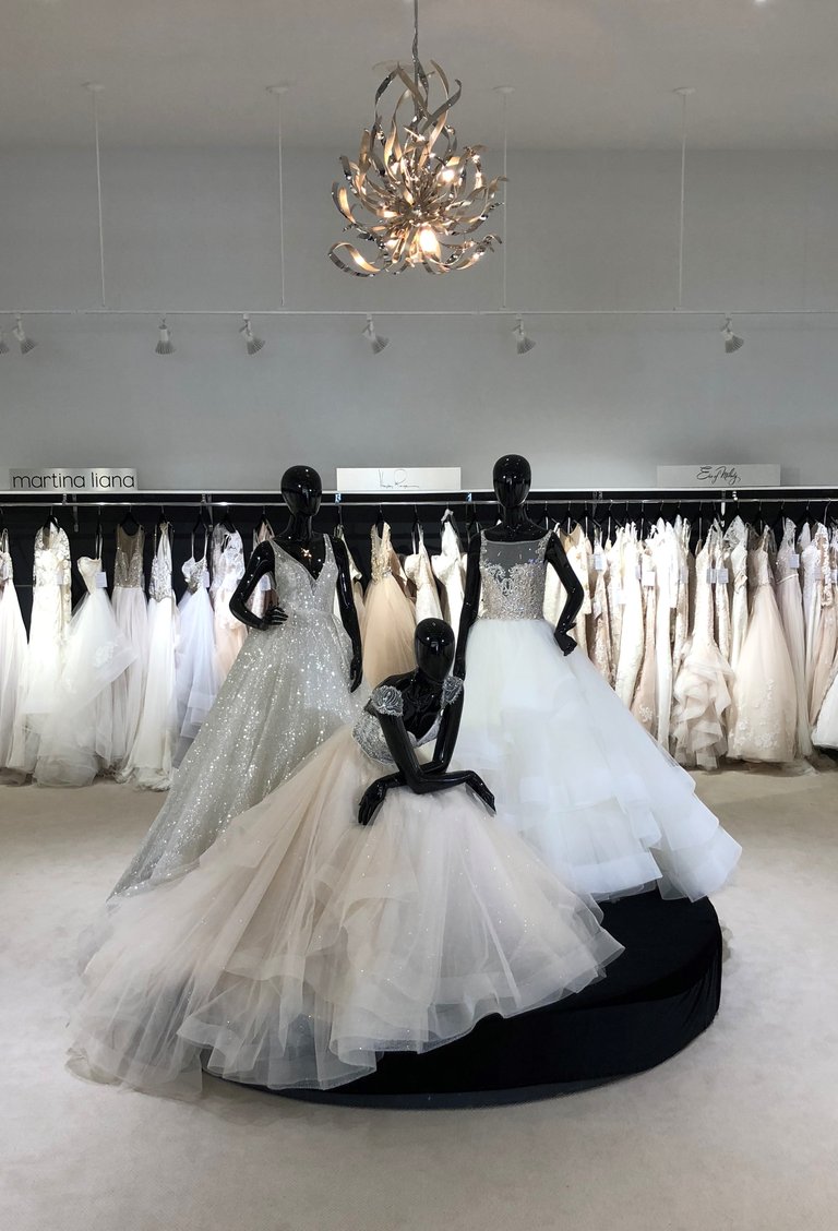 Brandi s Bridal Galleria JLM Couture